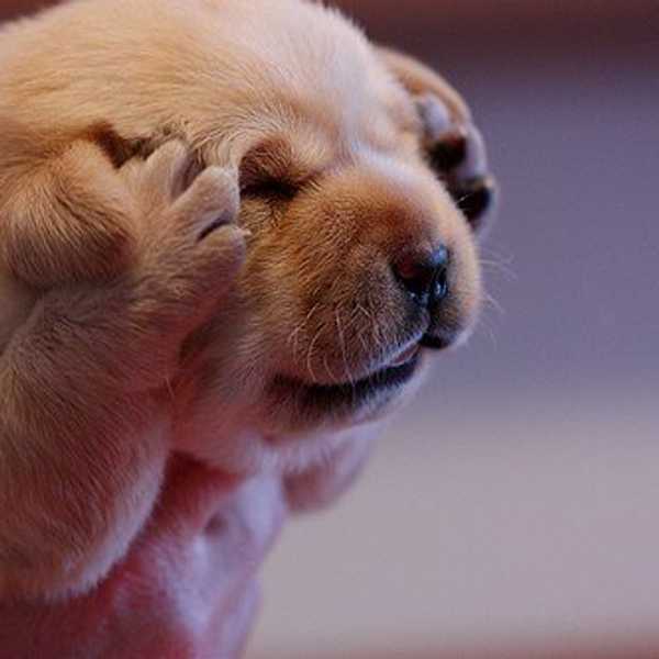 Life Is Stressful: Take A Step Back, Focus And Breathe