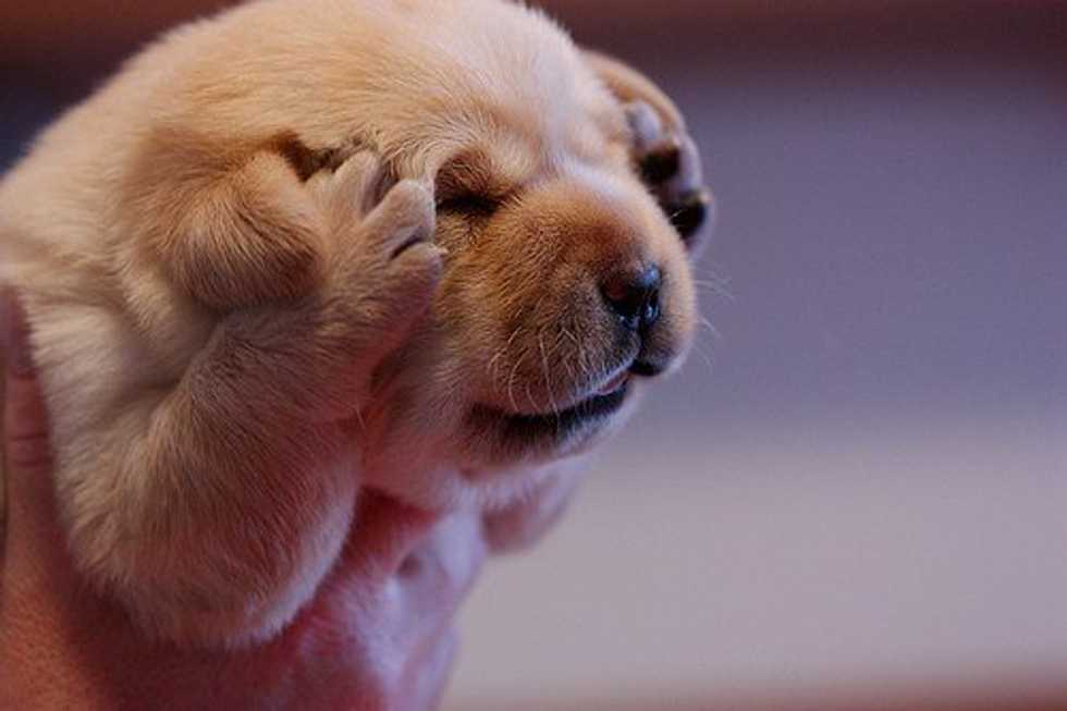 Life Is Stressful: Take A Step Back, Focus And Breathe