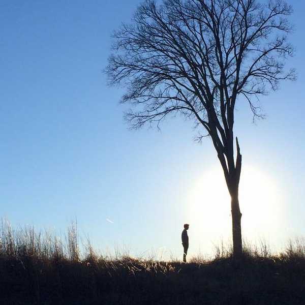 On Catching Summer