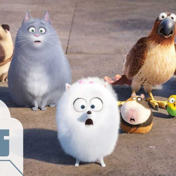 10 Movies That You Should Probably See This Summer
