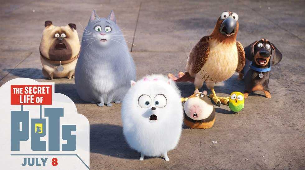 10 Movies That You Should Probably See This Summer