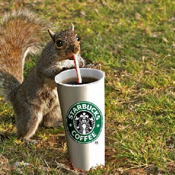 Signs You're A Coffee Snob