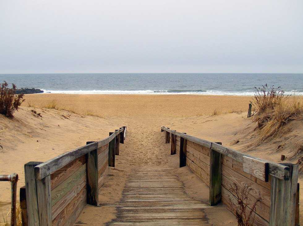 A Thank You Letter To The Jersey Shore