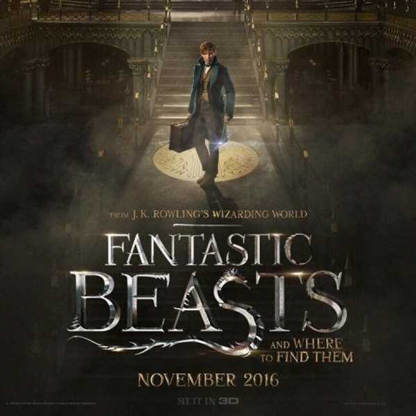 8 Magical Moments From The Trailer For 'Fantastic Beasts and Where to Find Them'