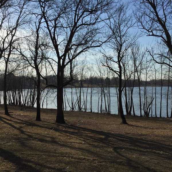 Look Up: The Importance Of Unplugging