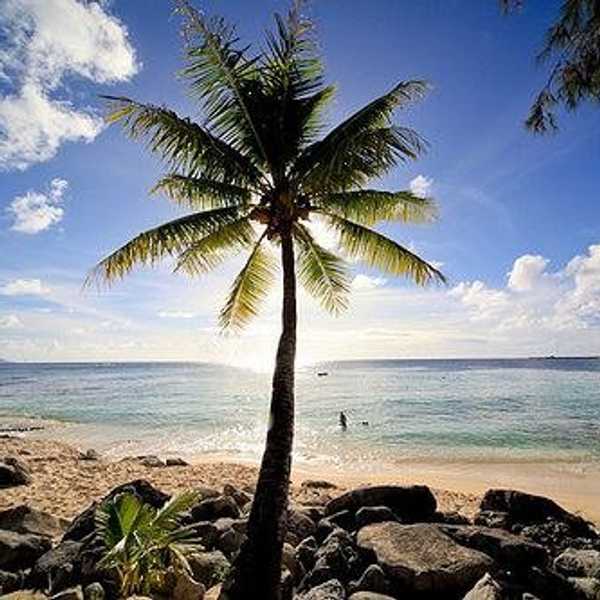 20 Signs You're From The Pacific Islands