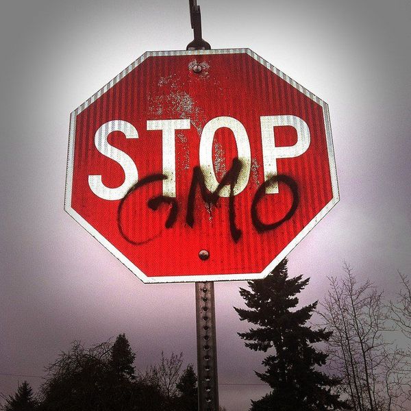 You Don't Have To Be Afraid Of GMO's Anymore