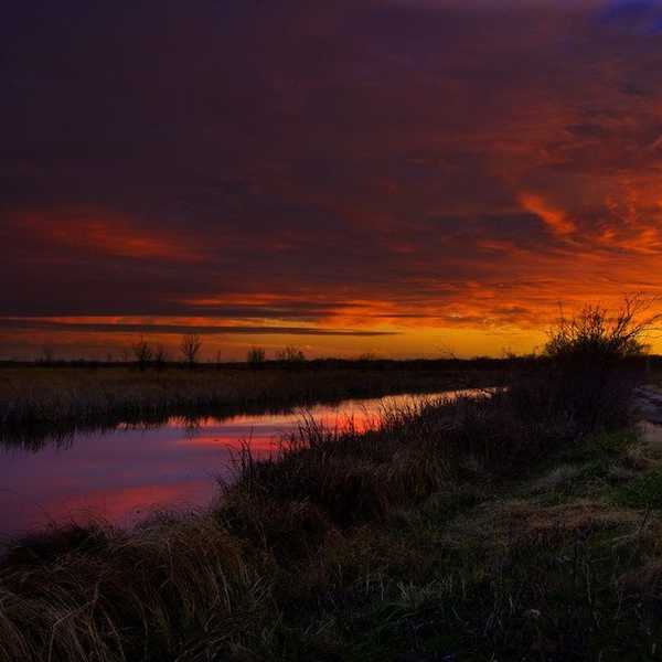 Walking Away From The Wetlands