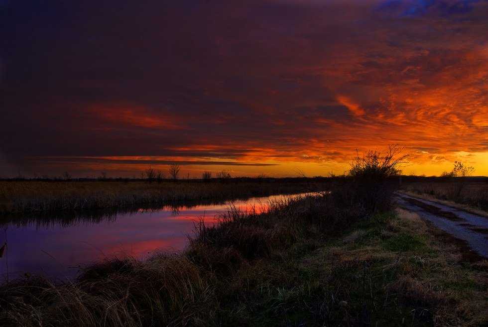 Walking Away From The Wetlands