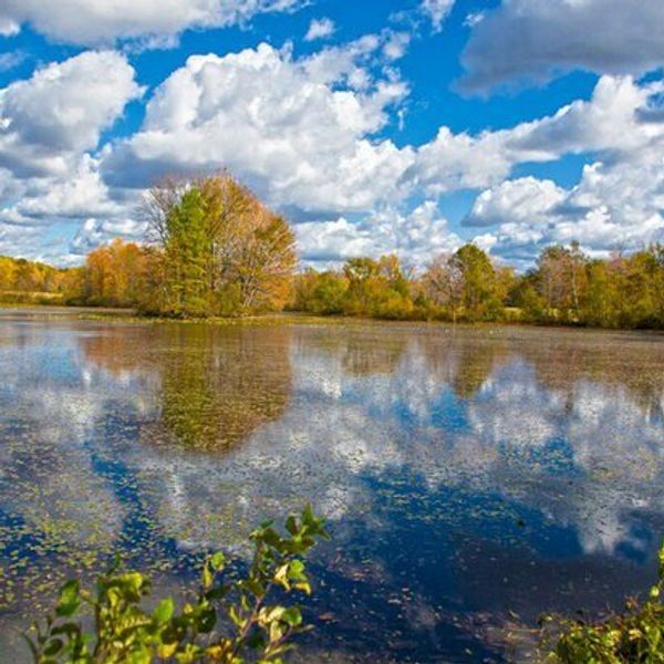 Top 5 Places To Visit In Ohio