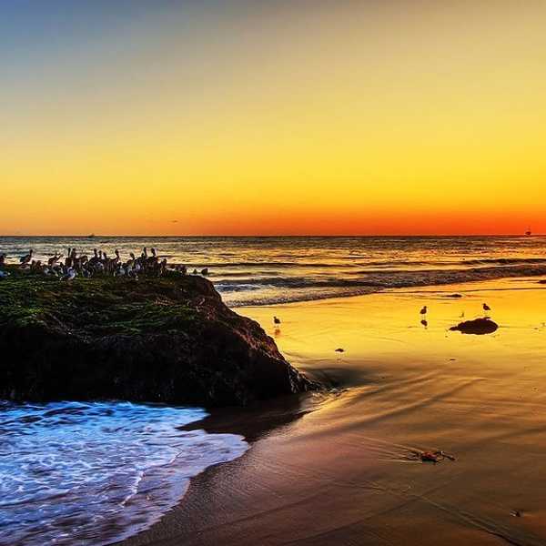 10 Things To Miss About UCSB