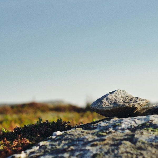 Six Best Short-Stories From Sherman Alexie's Blasphemy