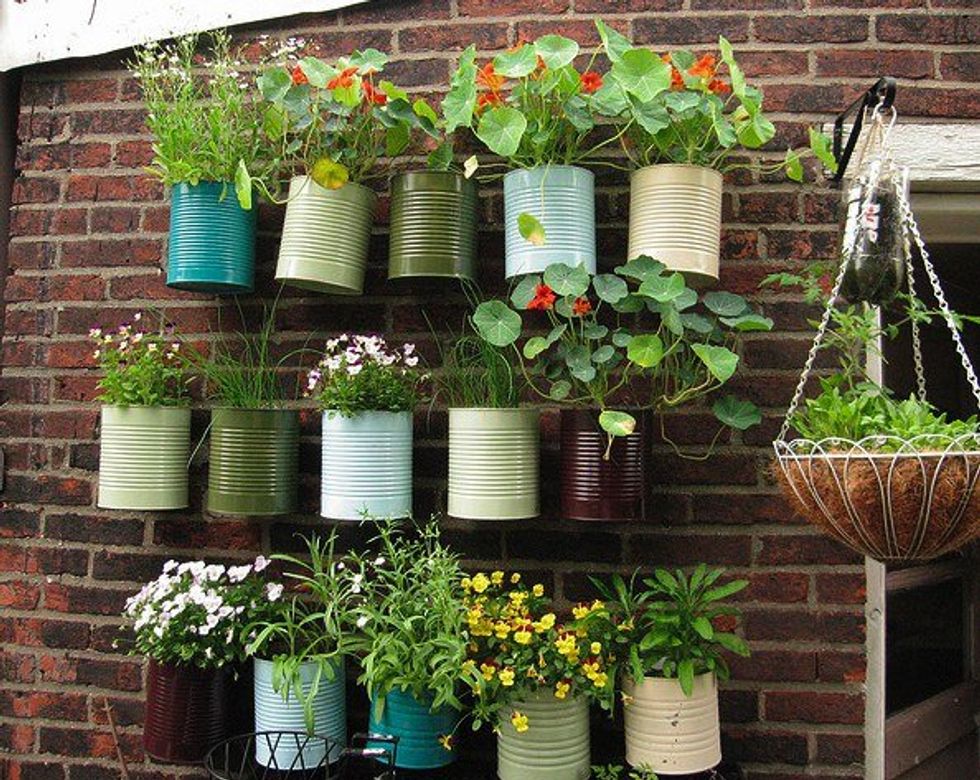 9 Cheap Eco-Friendly DIY Projects