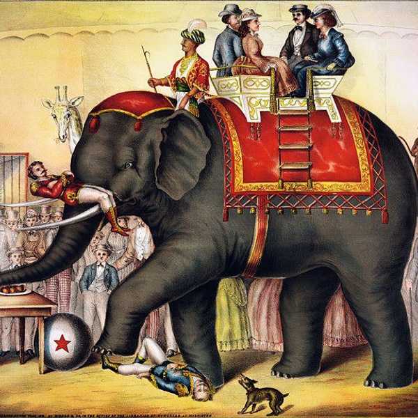 A Dark And Fast History Of Elephants In The Circus