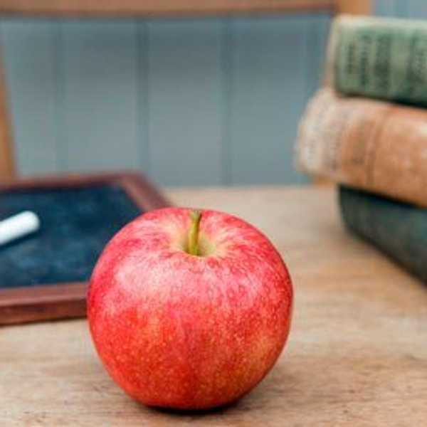 An Open Letter To Teachers