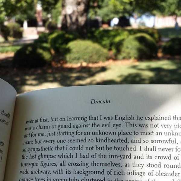Why I Became an English Major