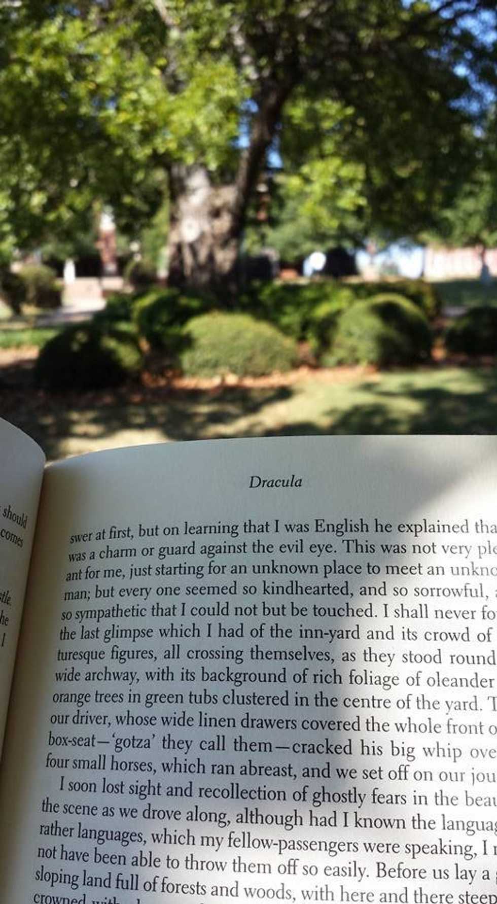 Why I Became an English Major