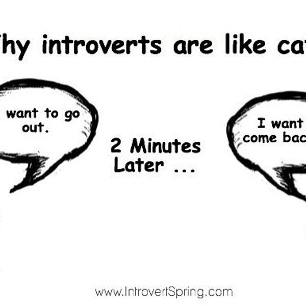 A Letter From an Introvert