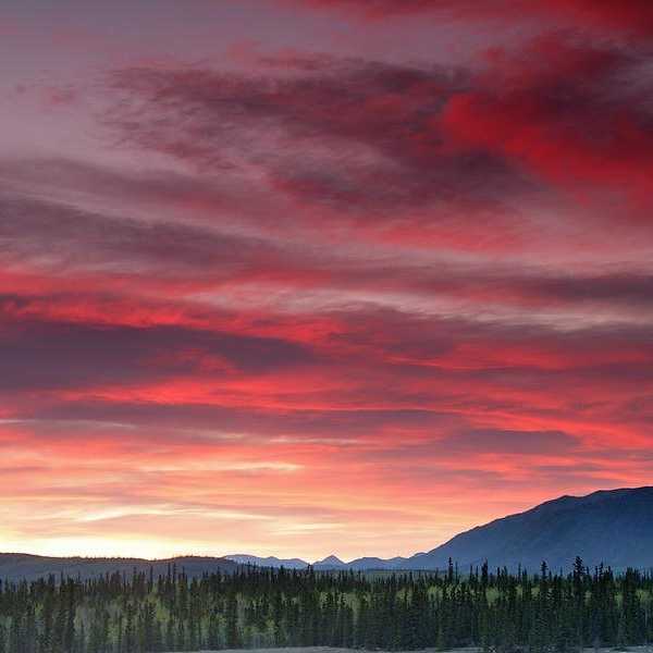 The Sunset Is Like The Purest Kind Of Love