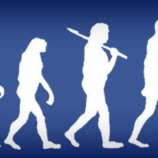 The 7 Types Of People On Facebook These Days