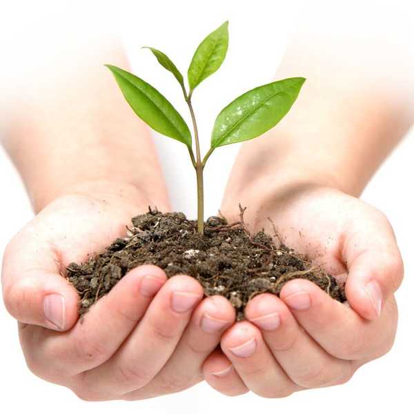 5 Tips To Becoming More Sustainable In College