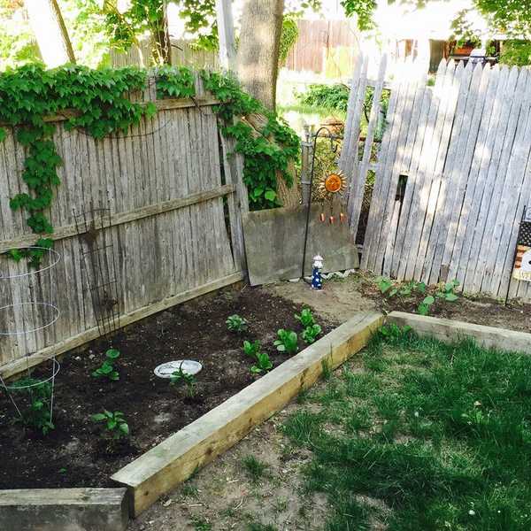 Perks Of Being A Gardener