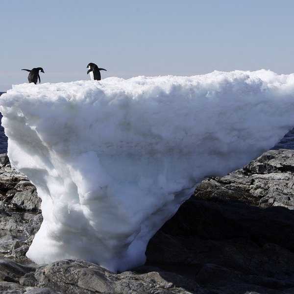 The Effects of Climate Change