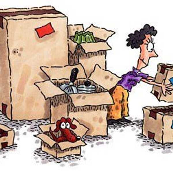 13 Struggles Students Go Through After Finishing Their Last Semester