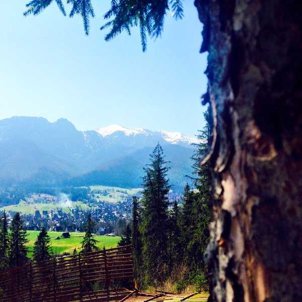 10 Reasons Why Poland Is An Underrated Travel Destination In Europe