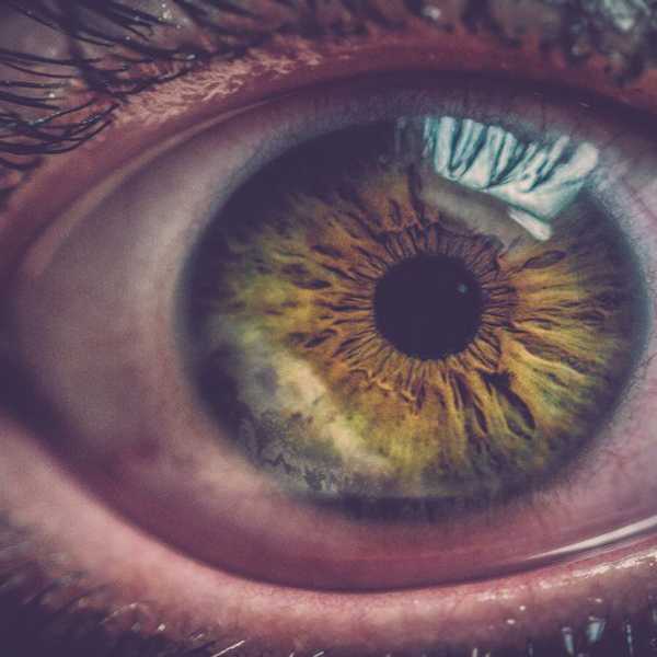 A Case for Fear
