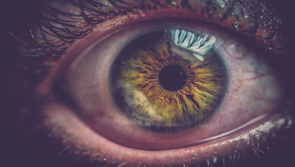 A Case for Fear