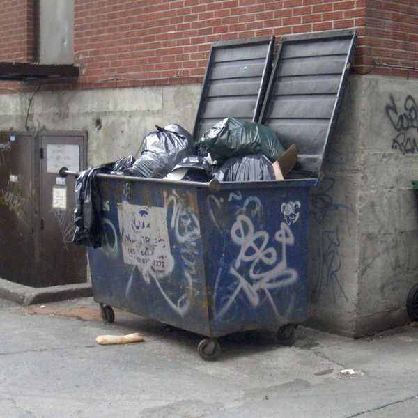 5 Tips For Dumpster Diving