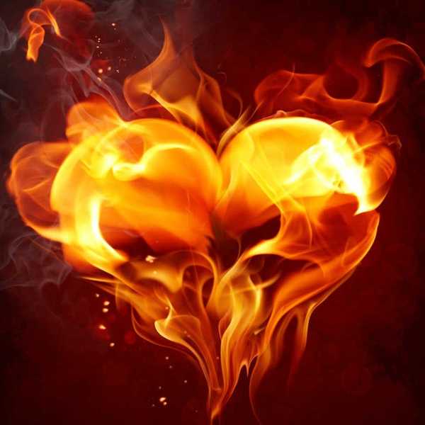 Major In Your Passion