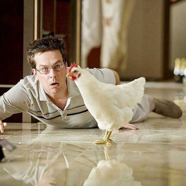 8 Things To Do Before You Get Hitched