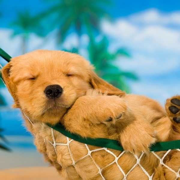 13 Things To Do This Summer