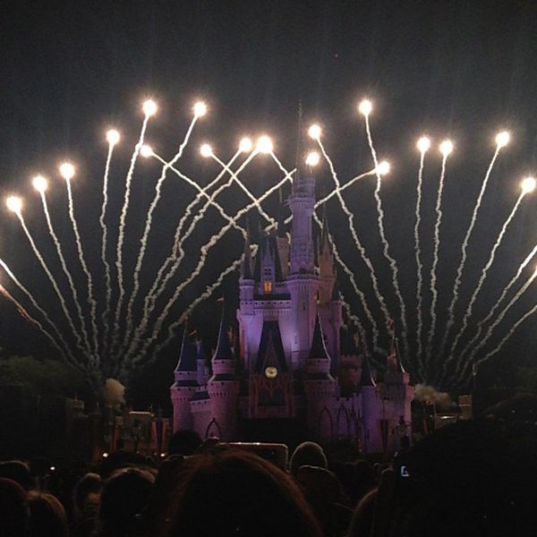 Quotes Of A Disney College Program Cast Member