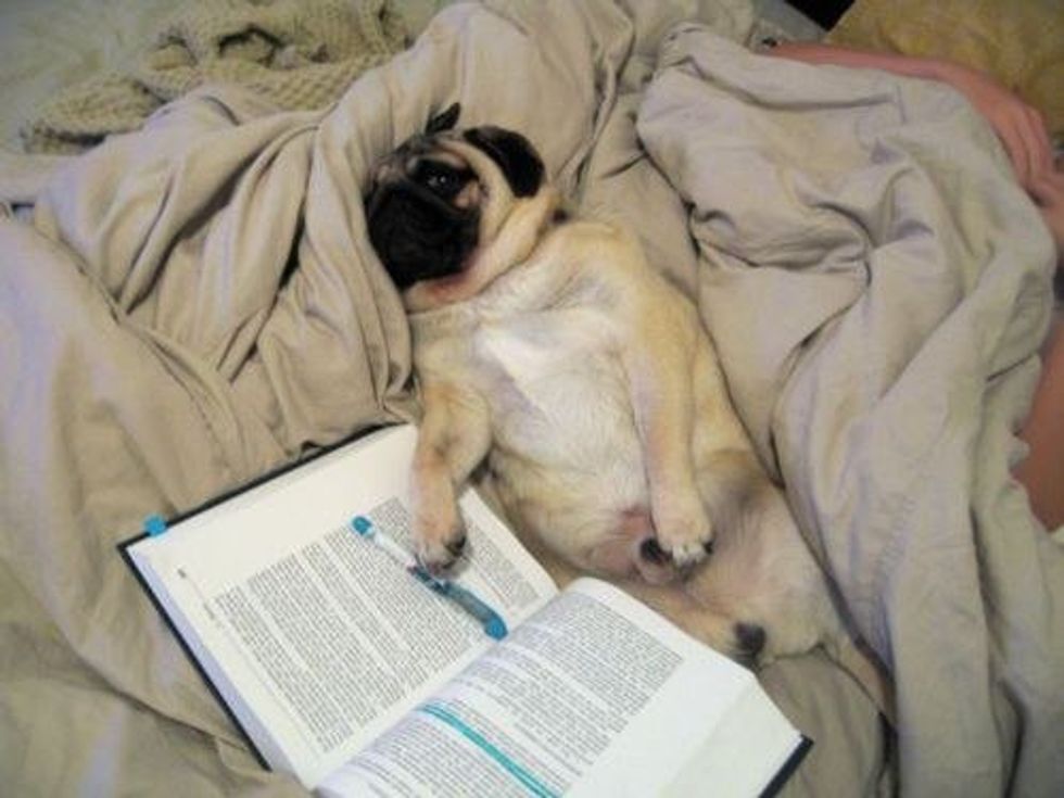 5 Symptoms Of Post Traumatic Finals Disorder (PTFD)