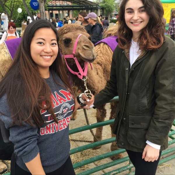 A Reflection Of My Sophomore Year In College