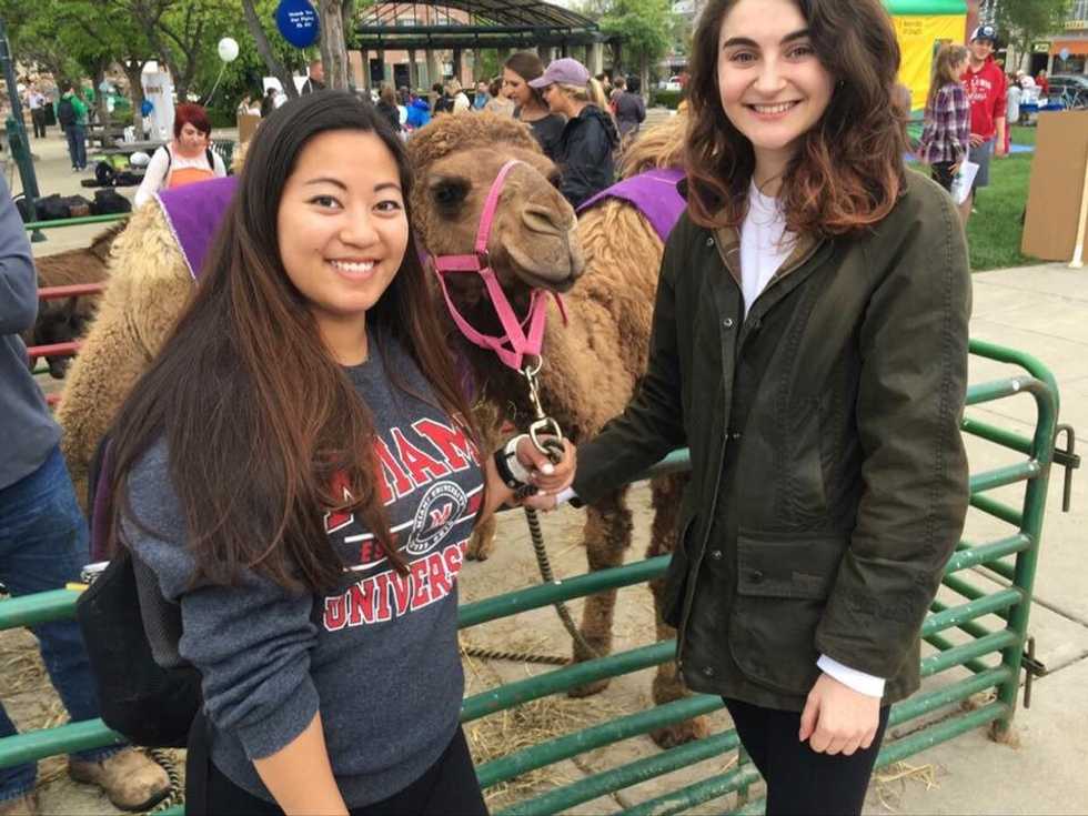 A Reflection Of My Sophomore Year In College