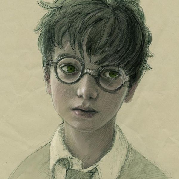 Harry Potter is Evil?