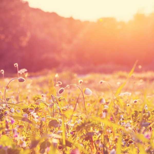 9 Ways To Beat Summertime Boredom