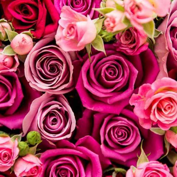 5 Reasons To Thank Moms