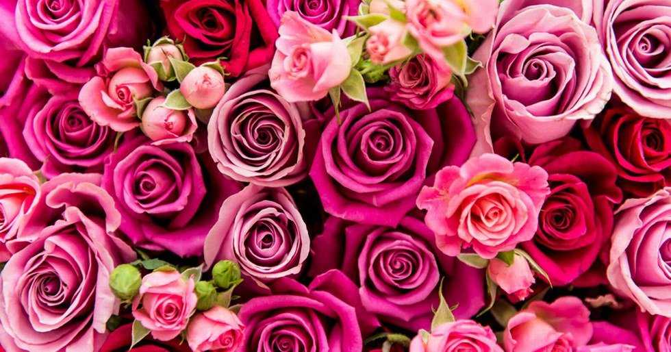 5 Reasons To Thank Moms