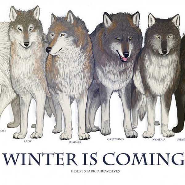 Where are my D…D…D…Direwolves?