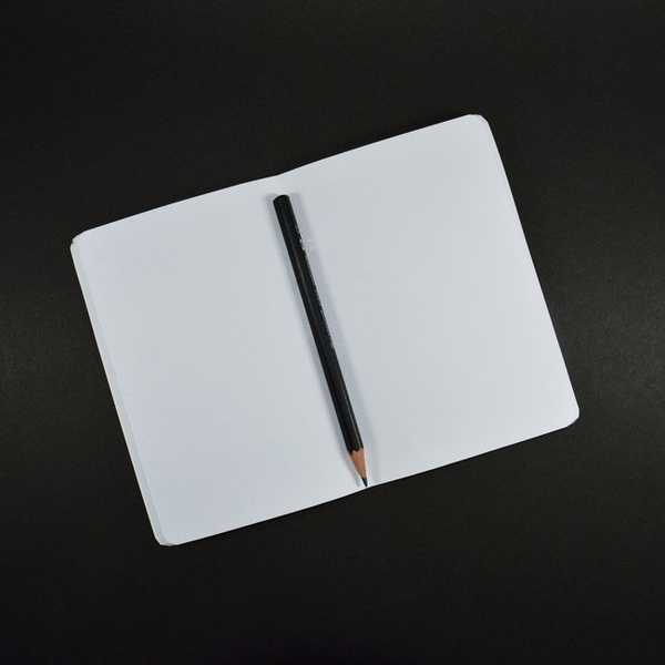 A Black Book Of Songs