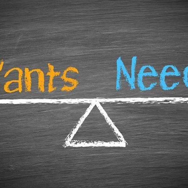 The Difference Between Needing And Wanting Something