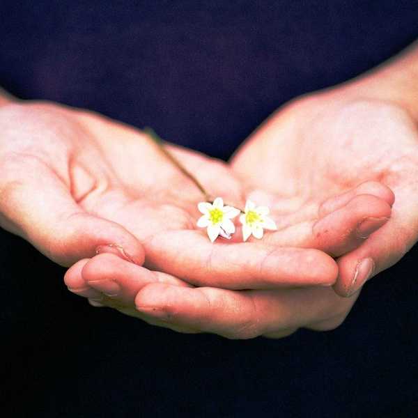 The Importance Of Gratitude