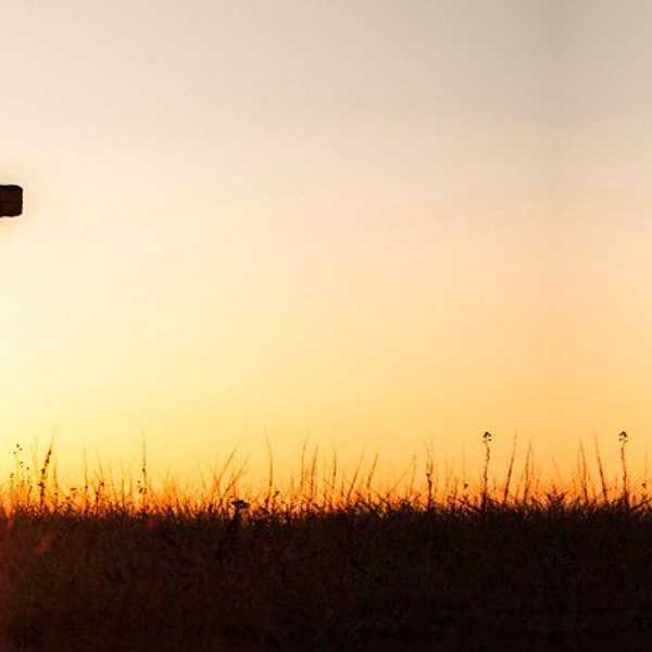 What Is Worship?