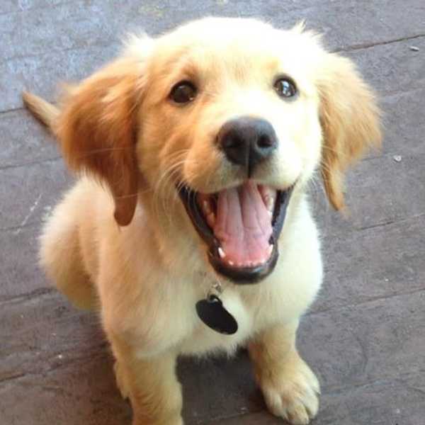 Are You Happy Enough?