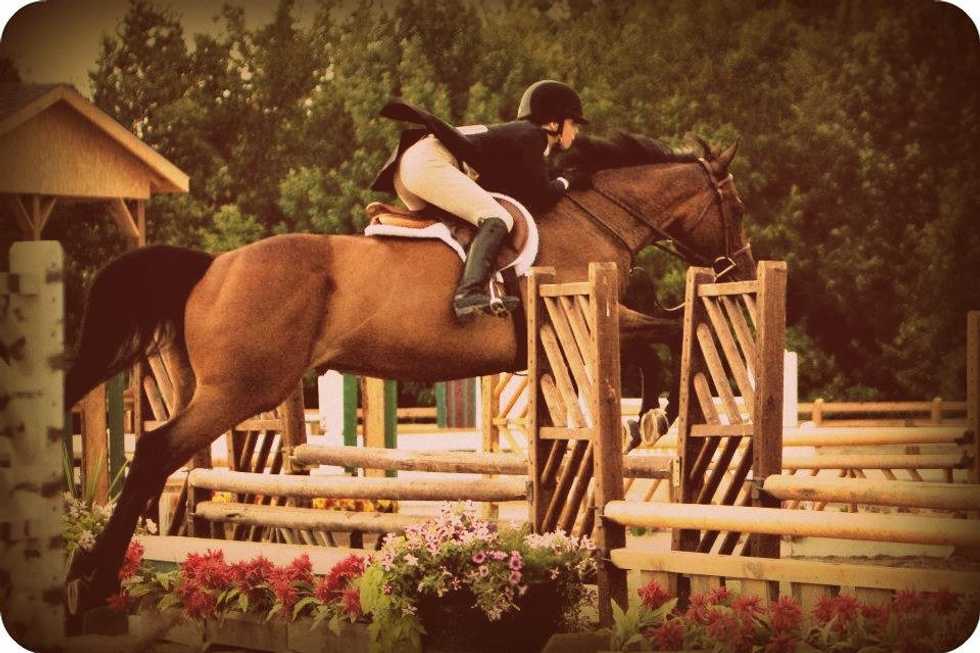 4 Horses That Shaped My Perspective
